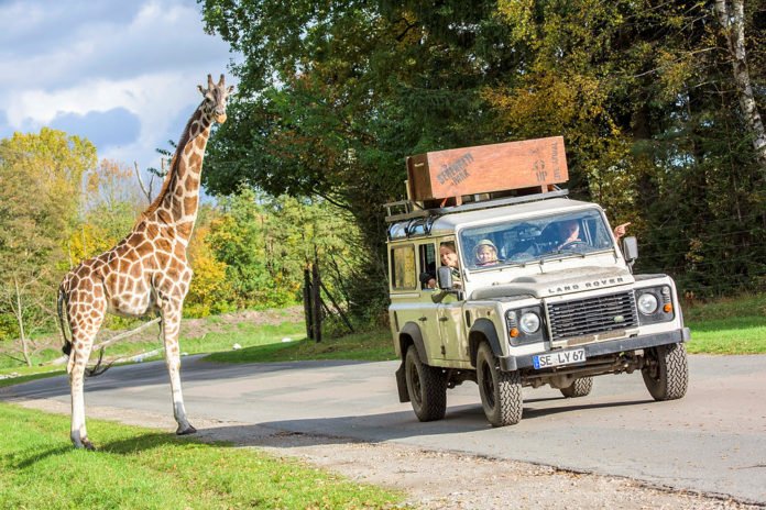 serengeti park hodenhagen safari